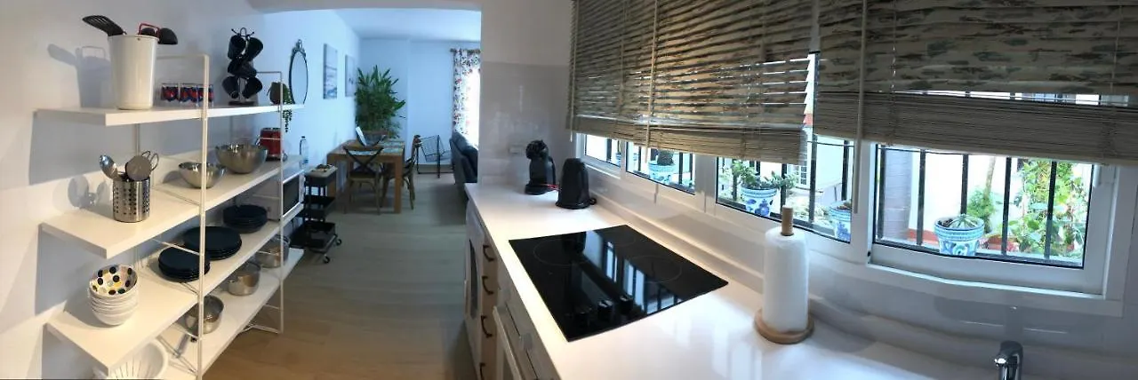 Albi B&B ネルハ アパート